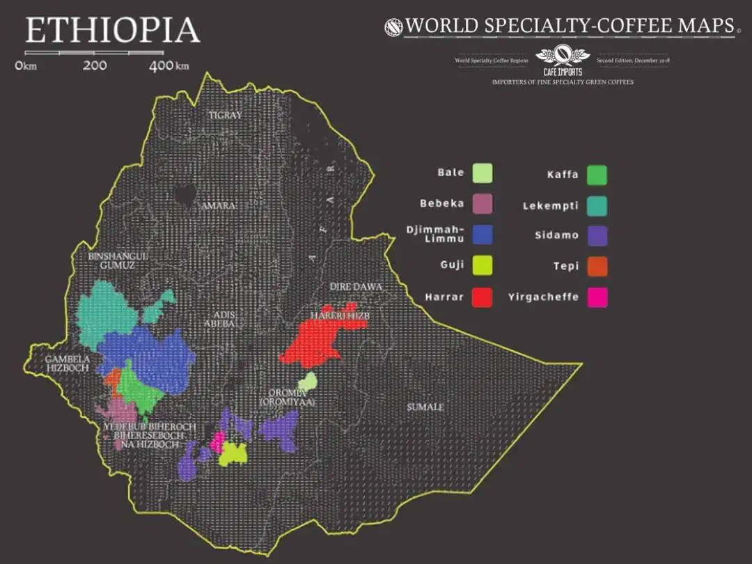 A Comprehensive Guide to Ethiopia's Nine Major Coffee Regions: Flavor Profiles, Processing Methods, and Pour Over Recommendations