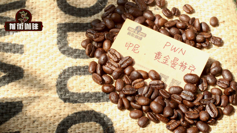 Complete Guide to Indonesian Golden Mandheling: PWN Certification, Wet-Hulling Process, and Pour Over Brewing Analysis