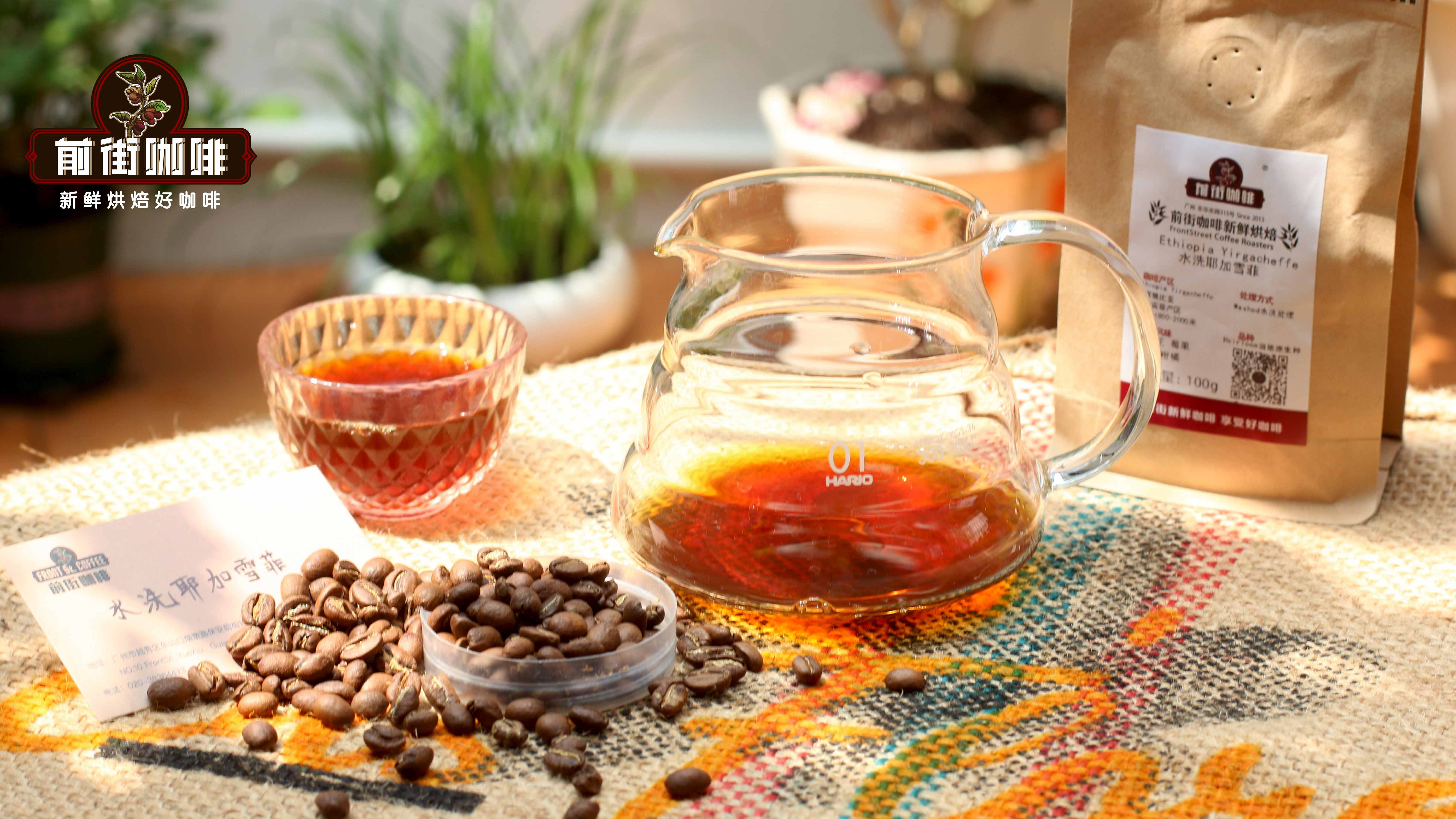 Yirgacheffe Honey Process Natural G1 Analysis: A Complete Guide to the Origins of Its Red Cherry Aroma and Flavor