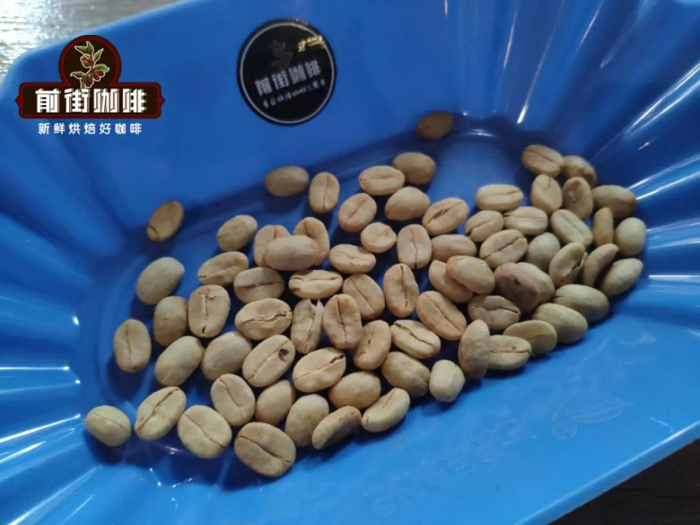 A Complete Guide to Ethiopian Gedeo Yirgacheffe Washed & Natural Beans | Beginner’s Guide