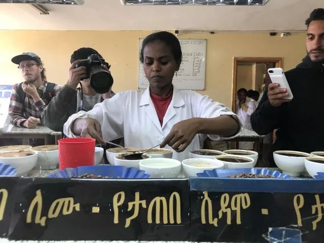 Complete Guide to the Yirgacheffe Adado Region: From Flavor Profiles to Entry-Level Direct-Fire Pour Over