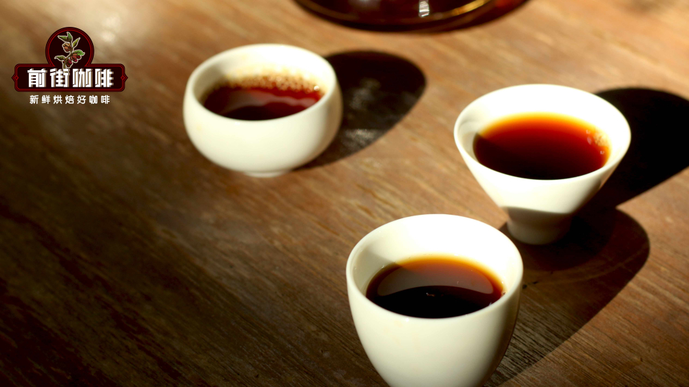 Flavor Profile of Yunnan Typica and Catimor | French Press Brewing Parameters and Guide