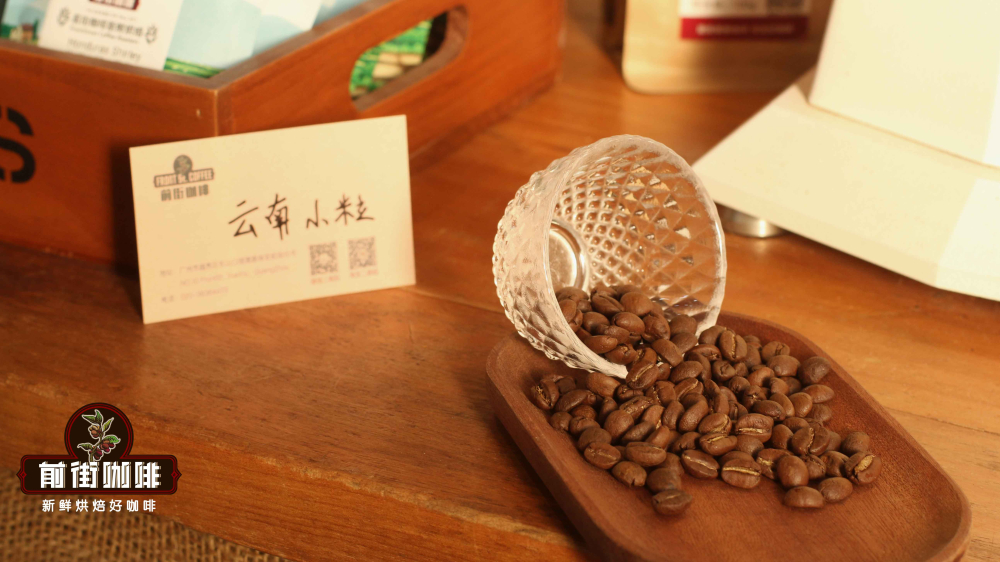 Flavor Analysis of Yunnan Specialty Coffee Beans | Complete Guide to Catimor and Typica Planting and Processing