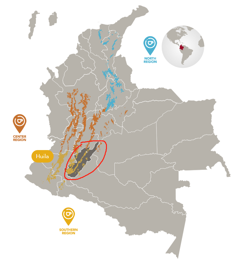How to Choose Colombian Coffee Beans? Understand Flavor, Regions, and Grading All at Once