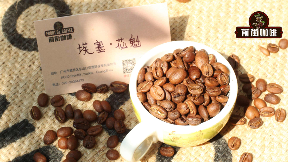 Essential Guide for Pour Over Beginners: Perfect Coffee-to-Water Ratio & Budget Fresh Bean Recommendations