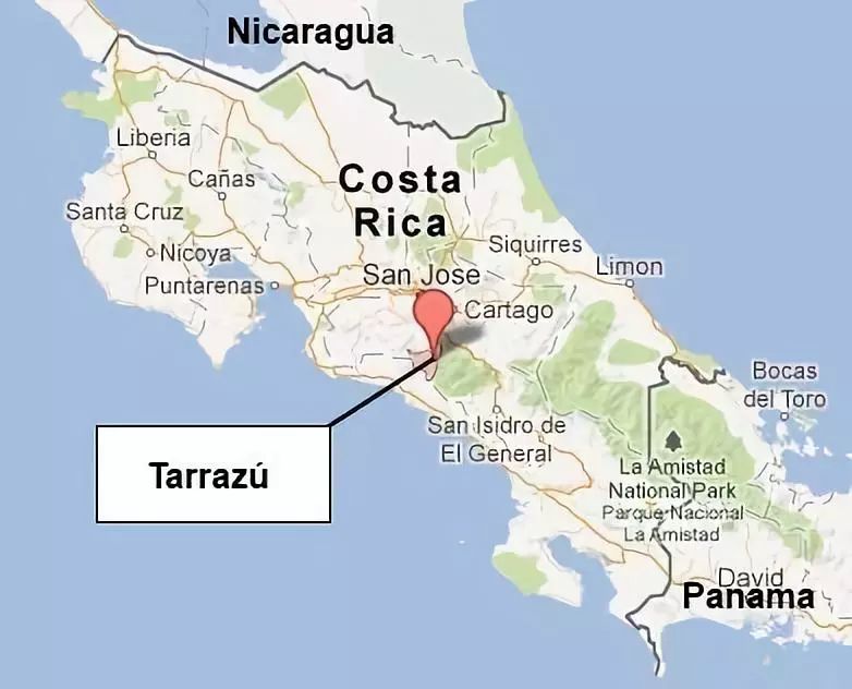 A Comprehensive Guide to Costa Rican Honey Processed Coffee Beans: Flavor Differences of Yellow, Red, and Black Honey, and Region Analysis