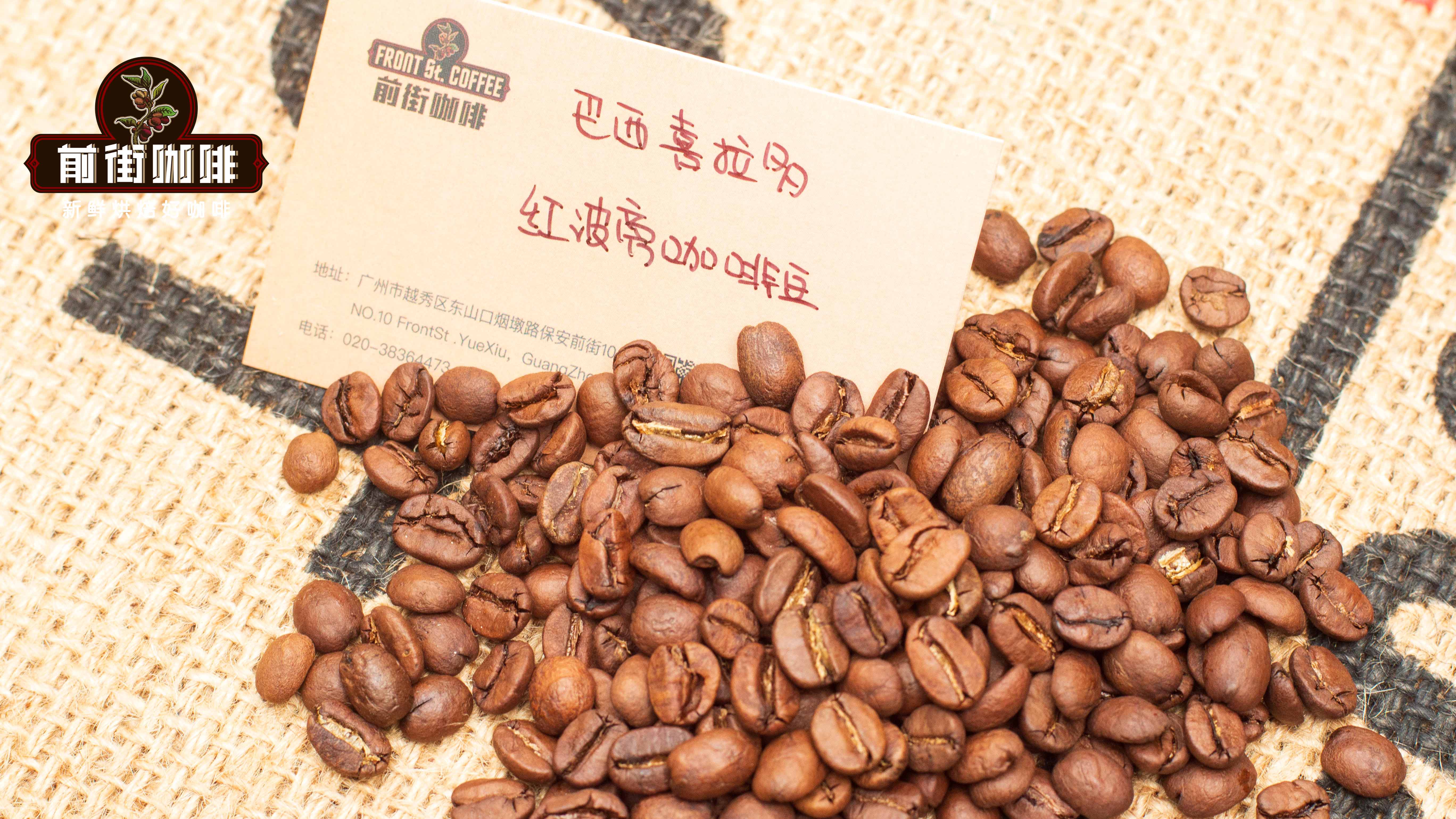 A Comprehensive Guide to Green Coffee Processing Methods: How Washed, Honey, and Natural Processes Affect Flavor?