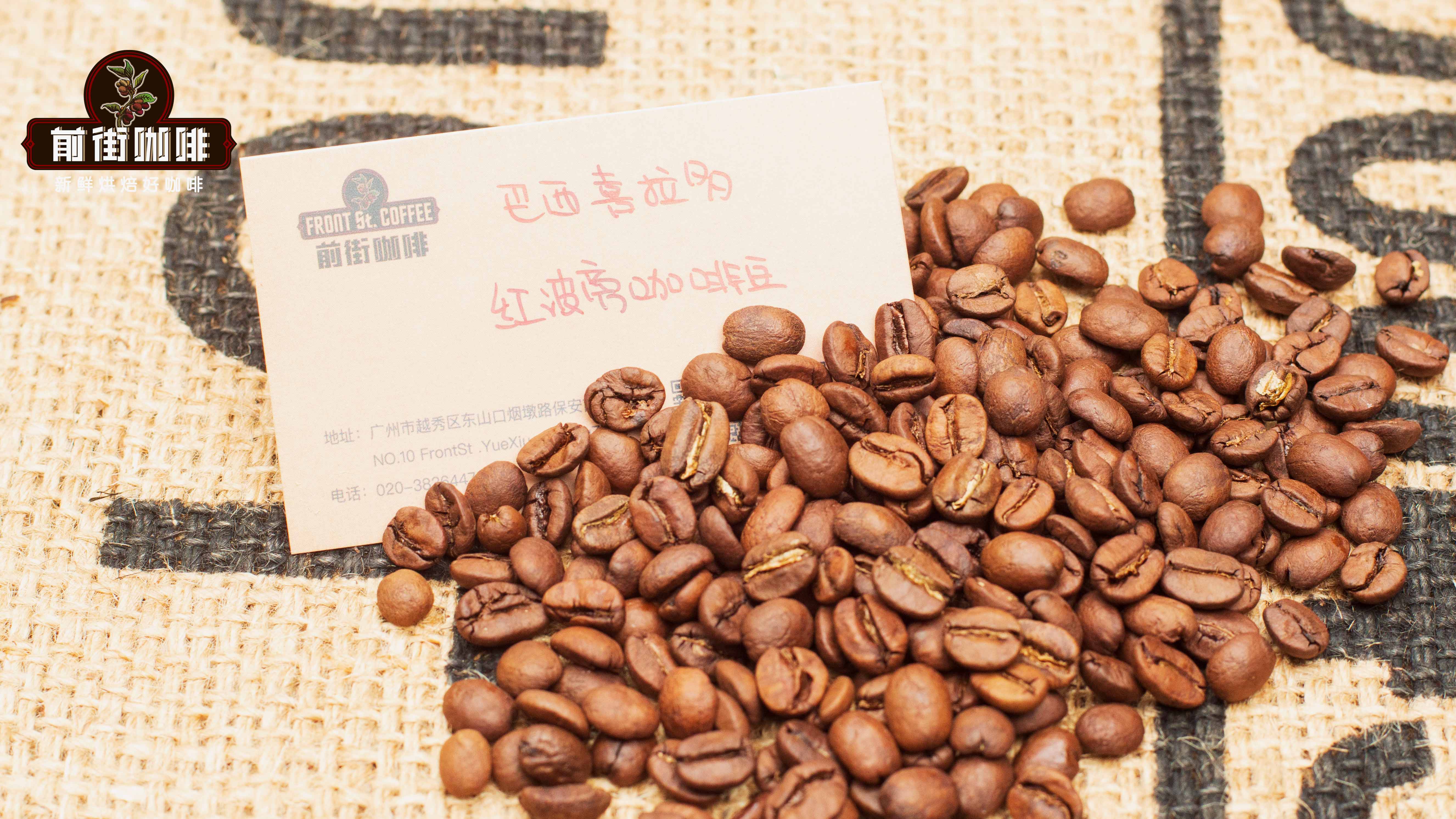 Complete Guide to Brazilian Arabica Beans: Flavor Profiles of Red Bourbon & Yellow Bourbon & Blending Applications
