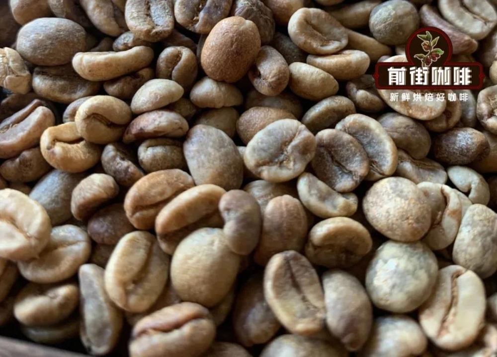 A Comprehensive Guide to Costa Rican Honey Processed Coffee Beans: The Flavor Secrets from Yellow Honey to Grape Honey