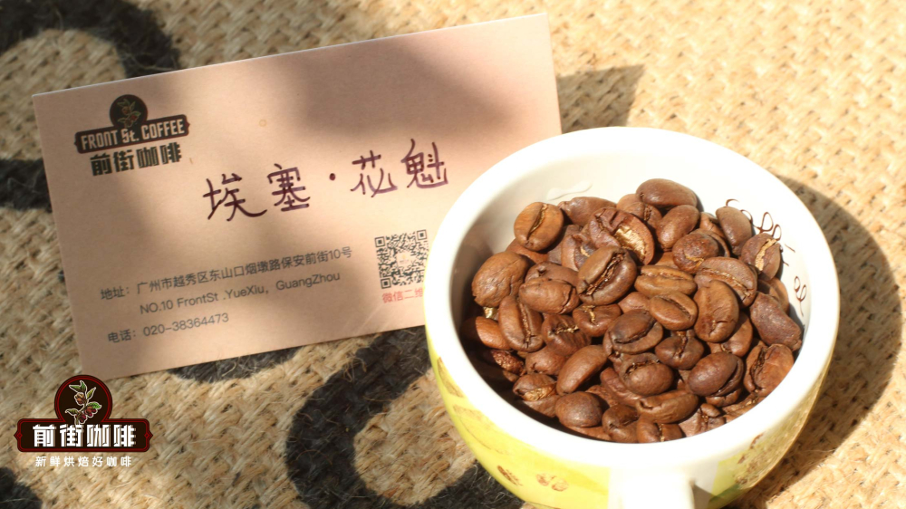 The Ultimate Guide to Coffee Processing Methods: How Natural, Washed, and Honey Processes Affect Flavor and Choice