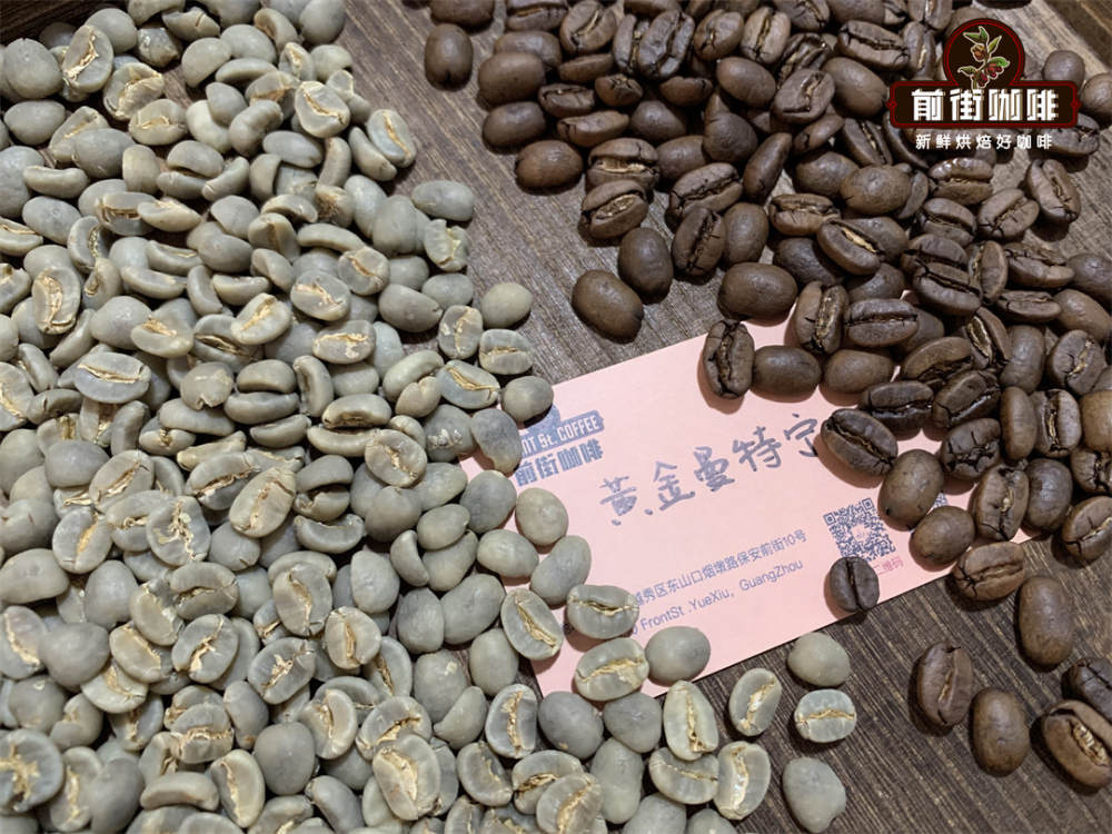 How to Make a Latte with Pour-Over Coffee Bags: 3 Brewing Methods + Water Temperature Ratios & Flavor Analysis