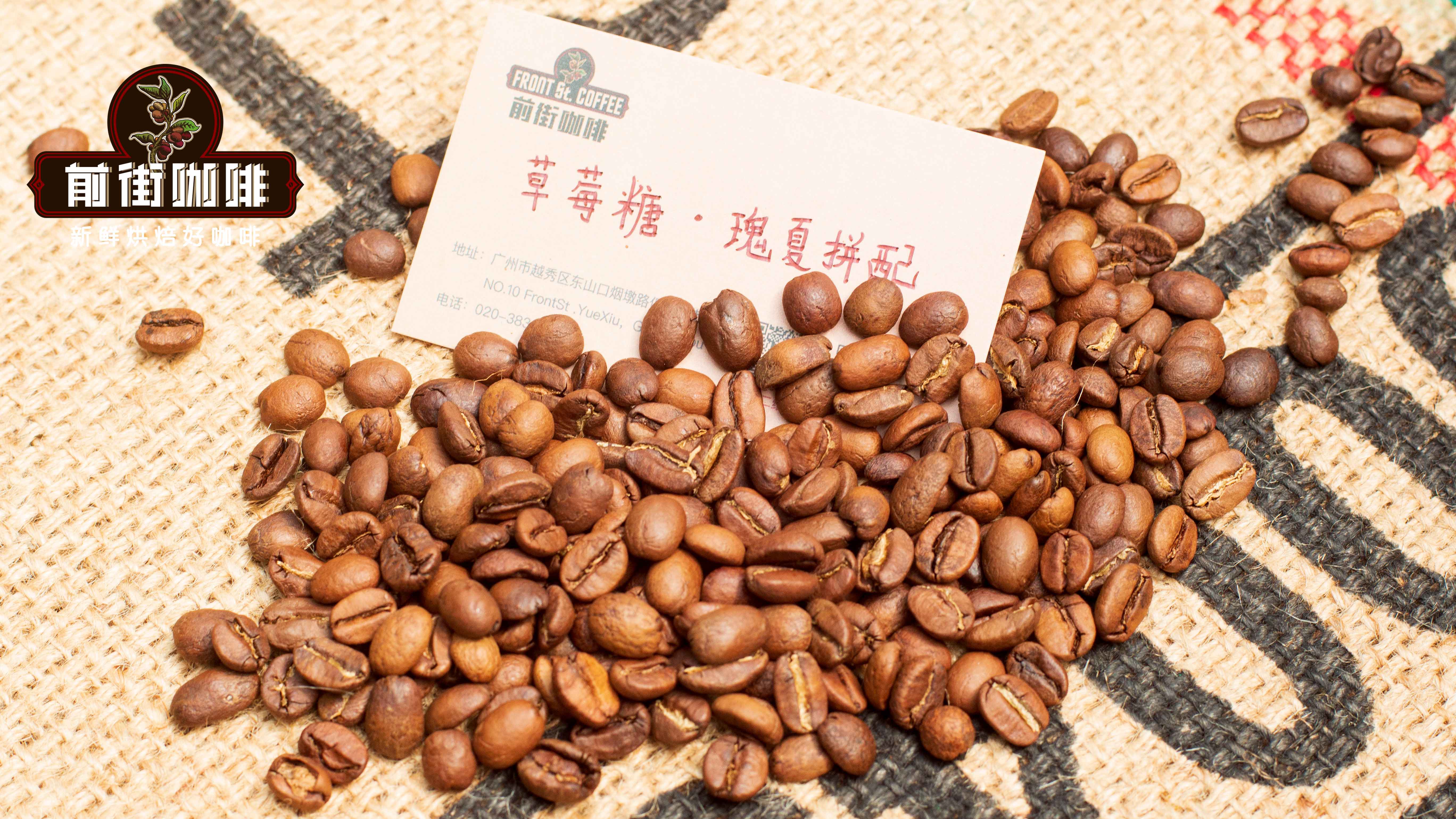 Complete Guide to Geisha Pour Over Coffee: Techniques and Parameters for Extracting Floral Notes