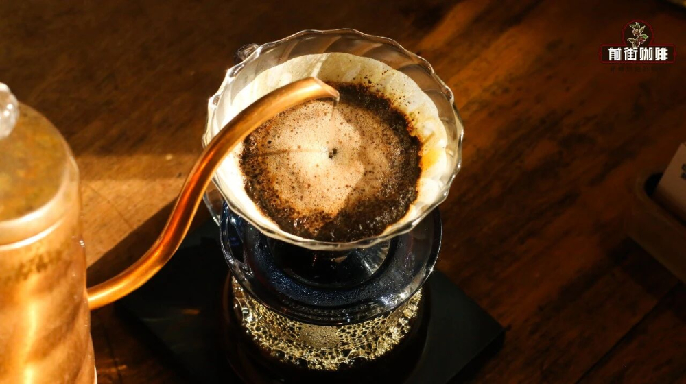 Analysis of One-Pour Pour Over Technique | Katsuma Shibuya’s Simplified Method and Practical Parameter Pairings