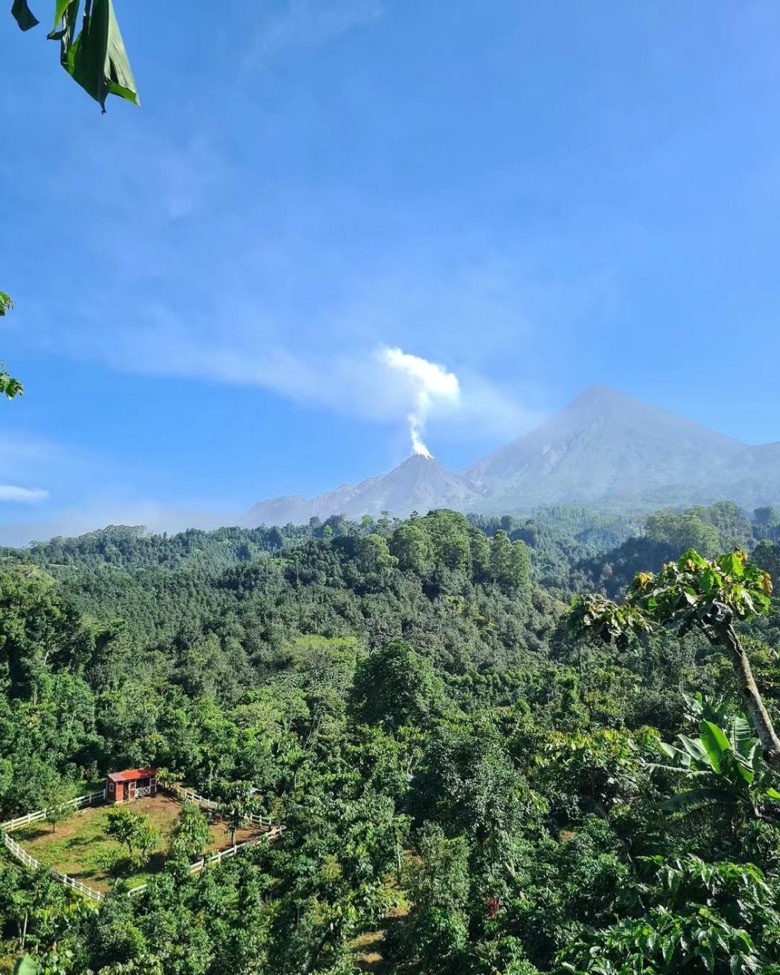 A Comprehensive Guide to Panama’s Coffee Micro-Regions | Must-Try Flavors Beyond Geisha & Pour Over Recommendations