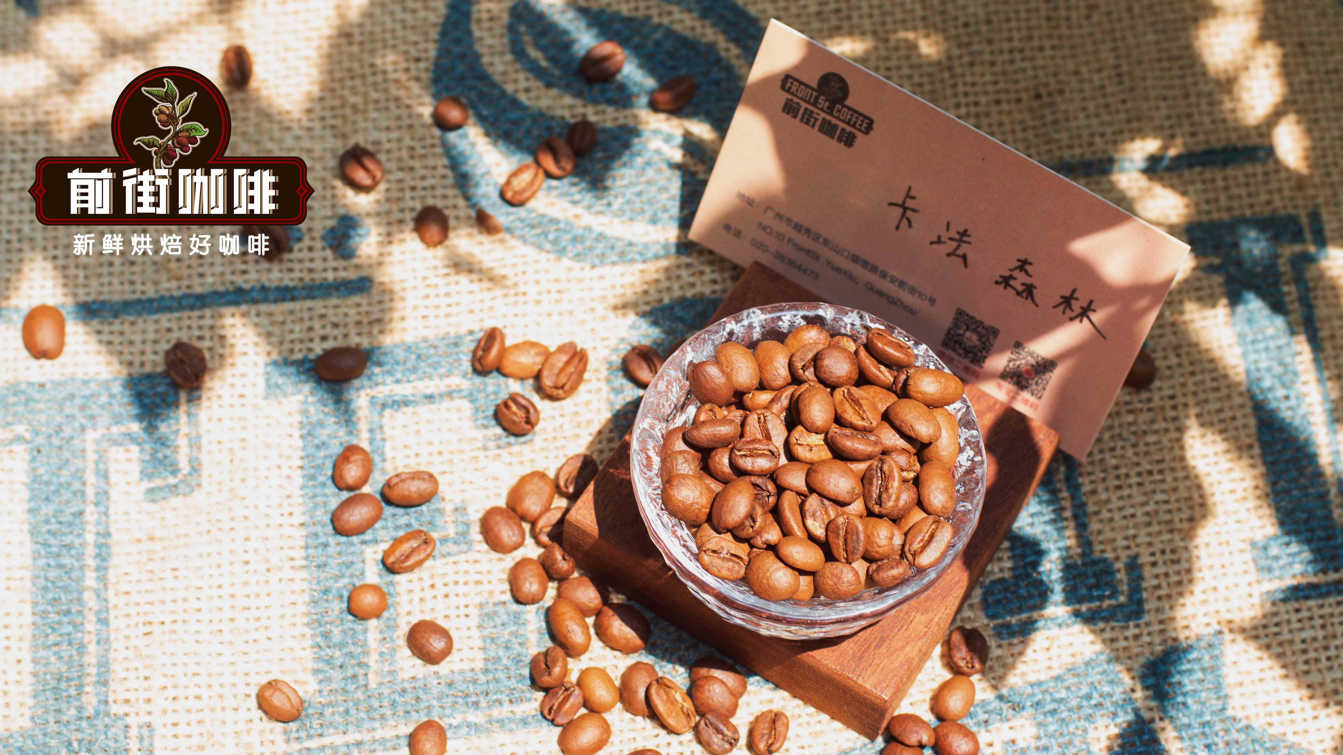 Complete Guide to Ethiopian Coffee Bean Varieties: From Heirloom to Processing Methods – A Must-Read for Pour Over Enthusiasts