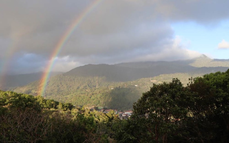 How to choose high-altitude Panamanian Geisha beans? Sophia Estate's 2025 double listing tested in practice