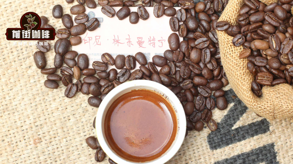 Mandheling Pour Over for Beginners: Mastering Water Temperature, Grind Size, and Three-Stage Pour Extraction Techniques