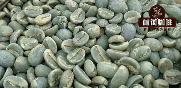 Pour Over Coffee Bean Recommendations | A Tasting Guide to 3 High-Value, Lesser-Known Origins