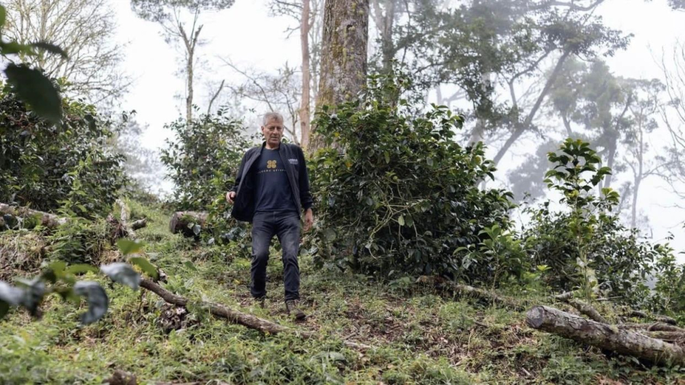 In-depth Analysis of Panama Diamond Mountain Coffee: Variety, Natural Processing, and Pour Over Parameters – A Complete Guide