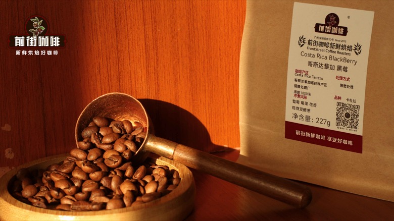 How to Choose a Light Roast Floral Coffee? A Complete Guide to Pour Over Brewing Parameters and Flavor Profile