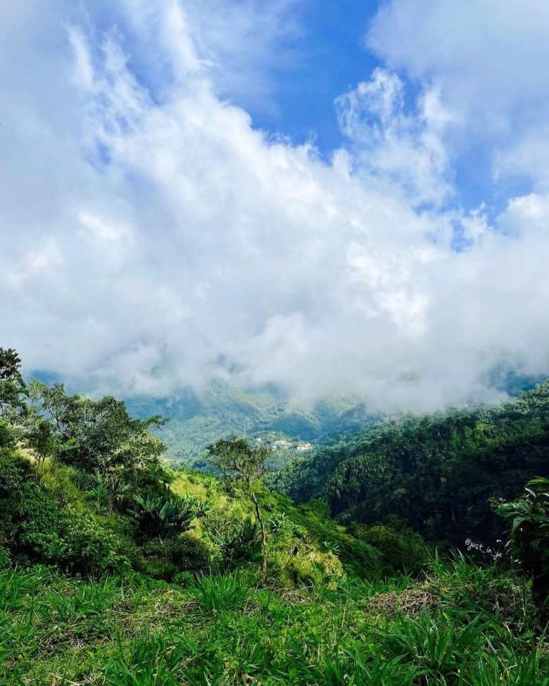 How to Choose Blue Mountain Coffee Beans? An Introductory Guide from Equipment, Roasting to Flavor Pairing