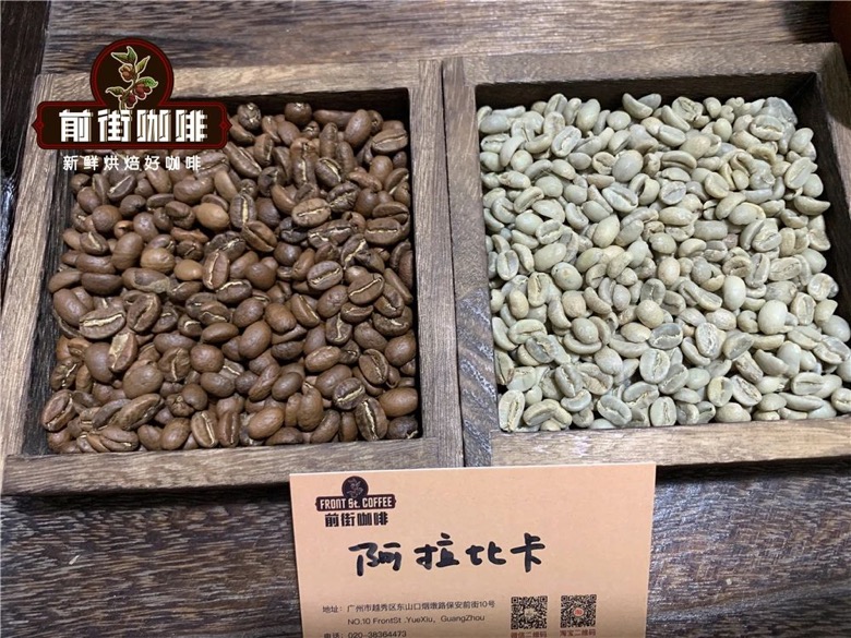 How to Choose Nutty & Chocolatey Coffee Beans? A Complete Guide from Equipment, Budget to Brewing
