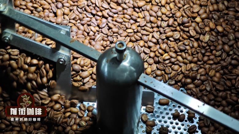 Brazil, Colombia & Sumatra | Bean Selection & Brewing Guide for Nutty & Cocoa-Flavored Beans
