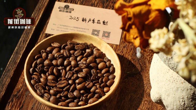 Recommended Berry-Flavored Coffee Beans | Pour Over Brewing Parameters and Flavor Profile Analysis