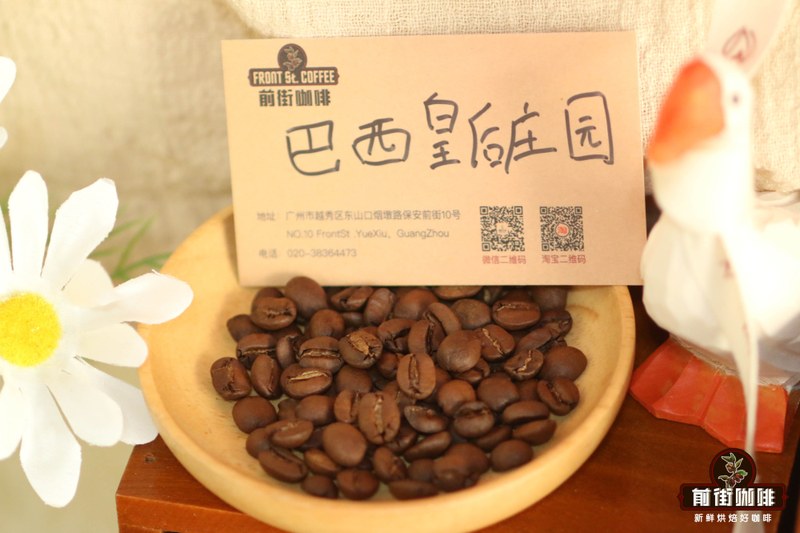 Recommended Medium-Roast Coffee Beans for Espresso Machines | A Beginner's Guide to Budget-Friendly, Practical, and Flavor-Balanced Options