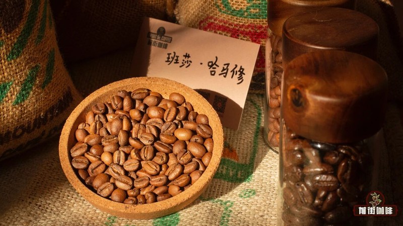 Recommended Home Espresso Blends: A Guide to Balancing Aroma, Strength, and Budget