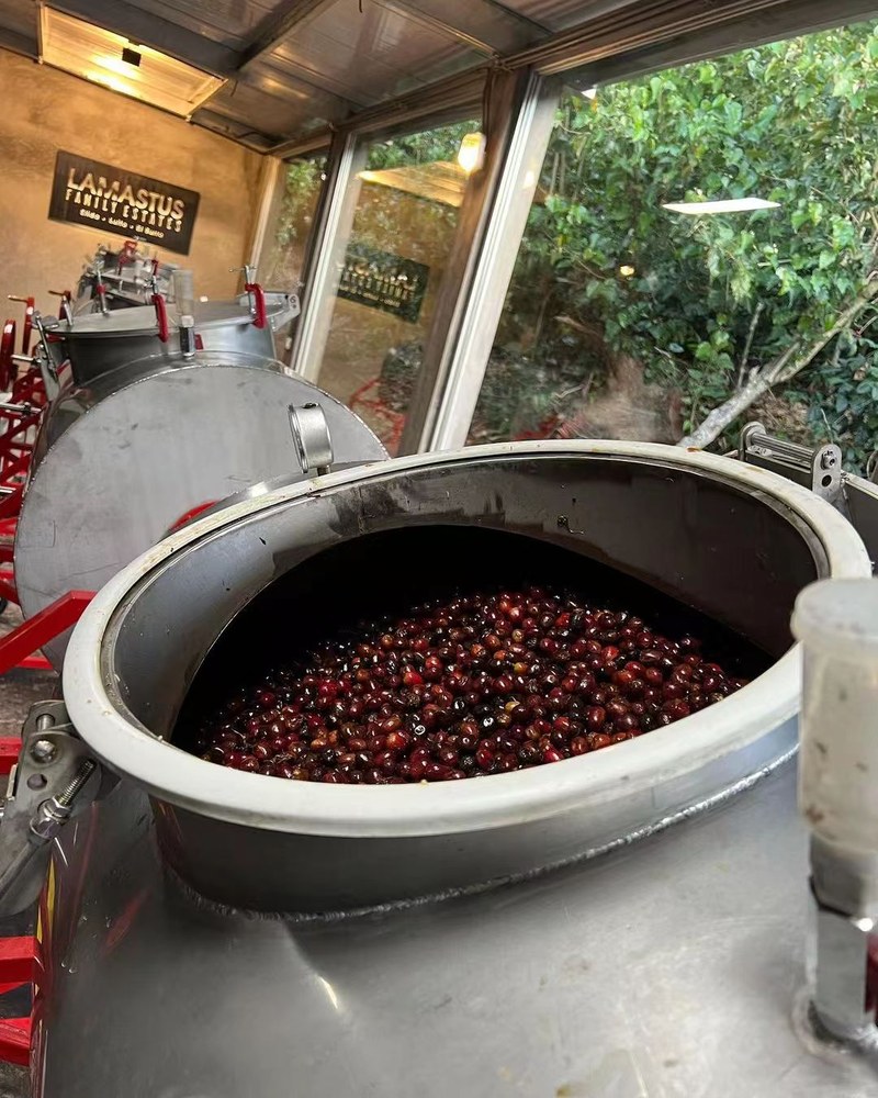 How to Choose Fruit-Flavored Coffee Beans? Recommendations and References for Beginners in Pour Over and Daily Drinking