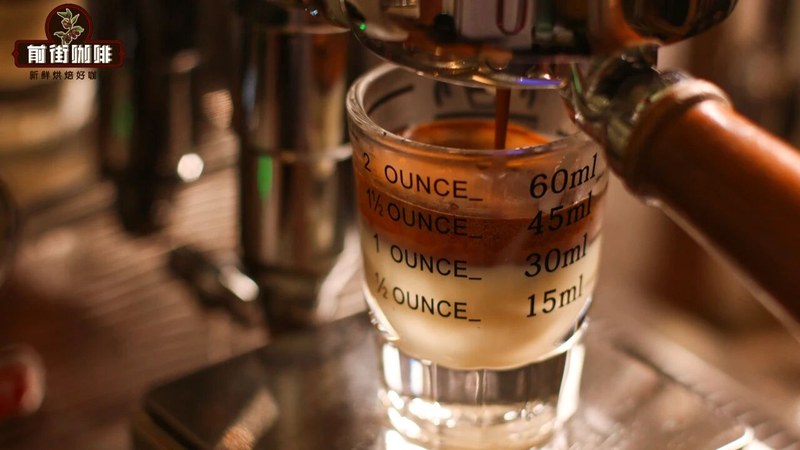 Cold Brew Coffee Beans Recommendations | Even Beginners Can Choose the Right Beans by Mastering Budget and Flavor Essentials
