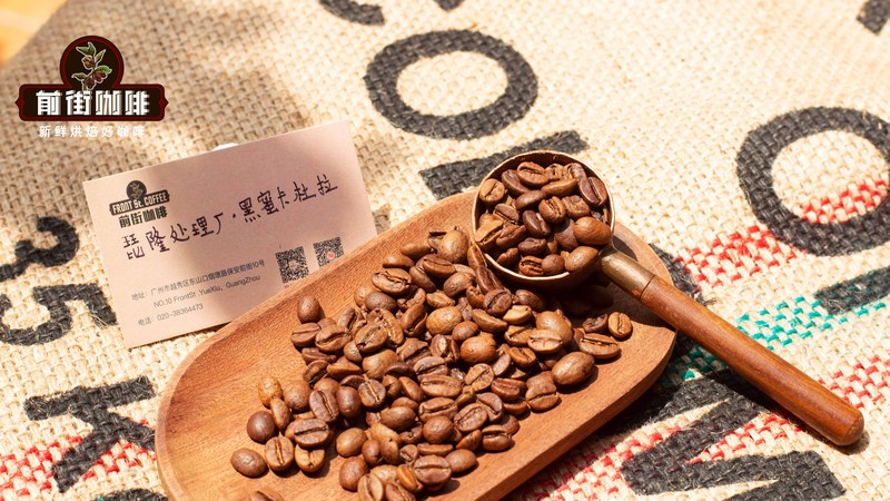 Ice Coffee Bean Buying Guide: Selecting the Right Beans Based on Flavor Preferences and Brewing Methods