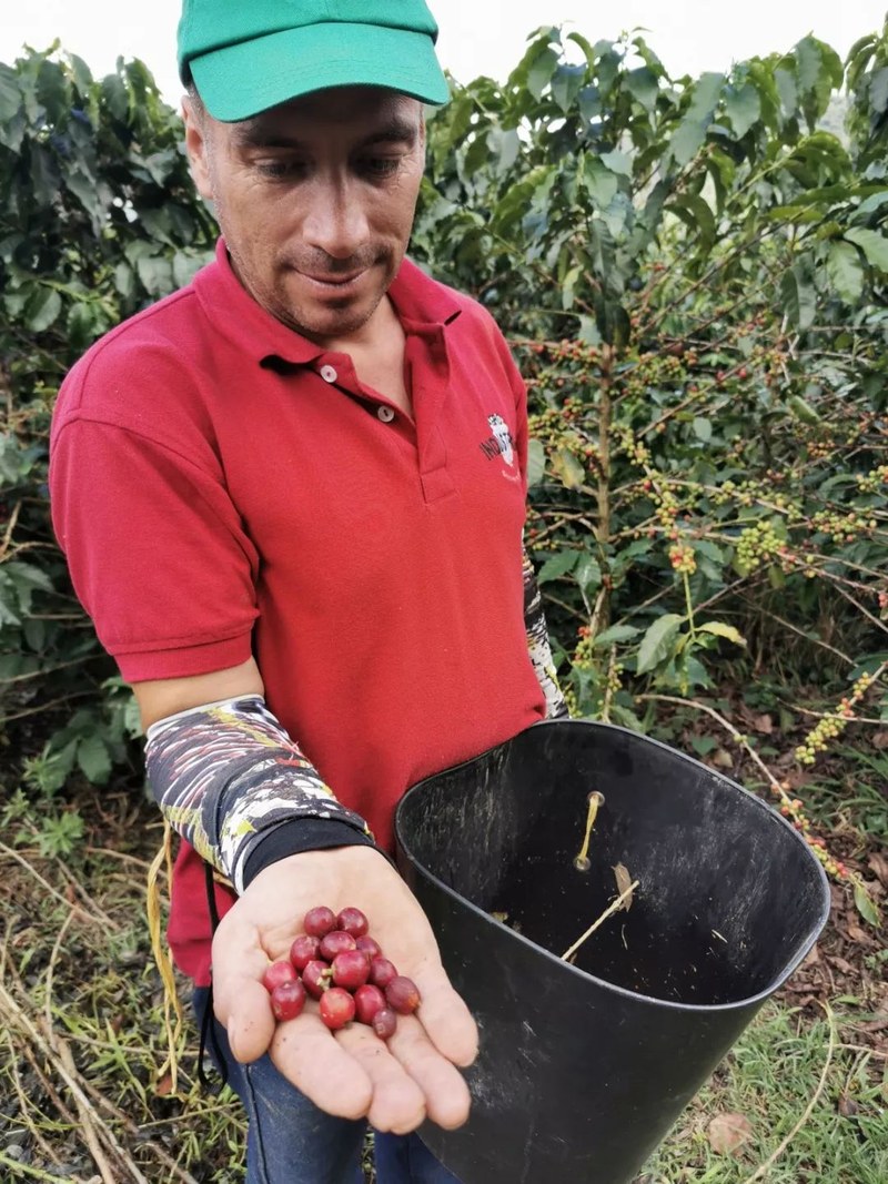 Selecting Americano beans with pronounced sweetness by roast level | A full analysis of flavors and extraction parameters