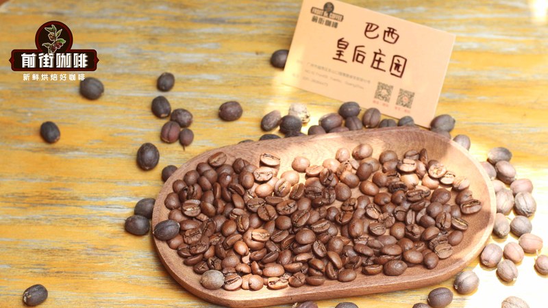 SOE Coffee Bean Buying Guide: From Roast Level to Flavor, Learn How to Choose the Right Single-Origin Espresso Beans