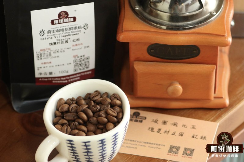 Getting Started with SOE at Home: A Complete Guide to Adjusting Extraction Parameters Based on Roast Level Using a Home Coffee Machine
