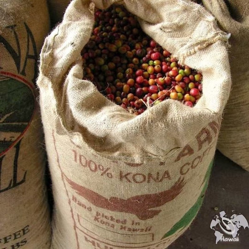 How to choose single-origin beans for a moka pot? Select ideal flavors based on roast level