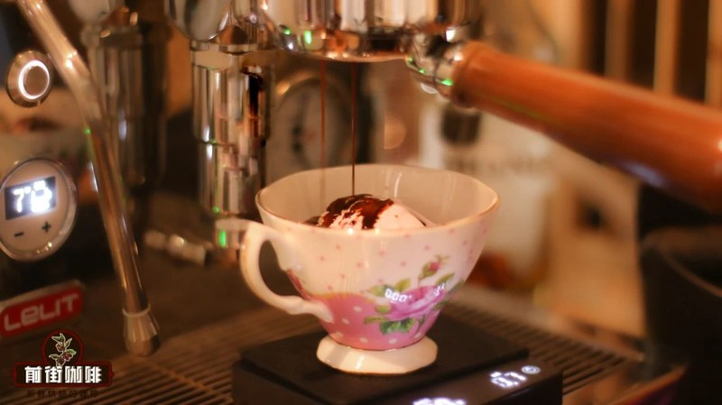 Moka pot coffee with cocoa notes? A complete guide to bean selection by roast level + brewing tips