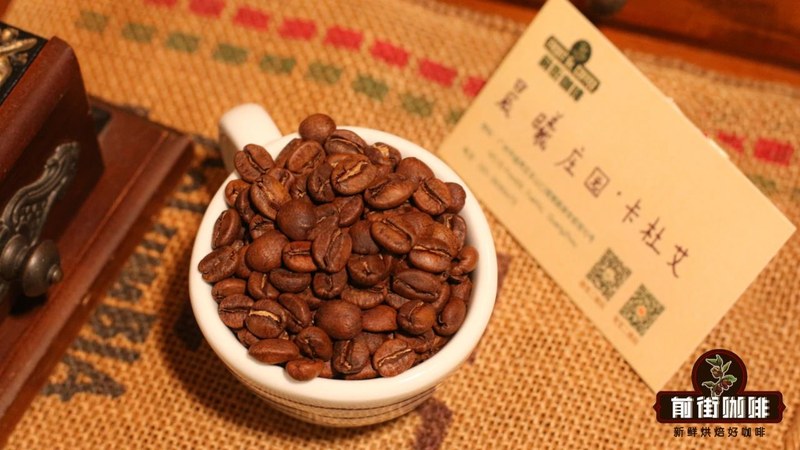 How to choose beans for making lattes with a moka pot? A full breakdown of roast levels and beginner's guide