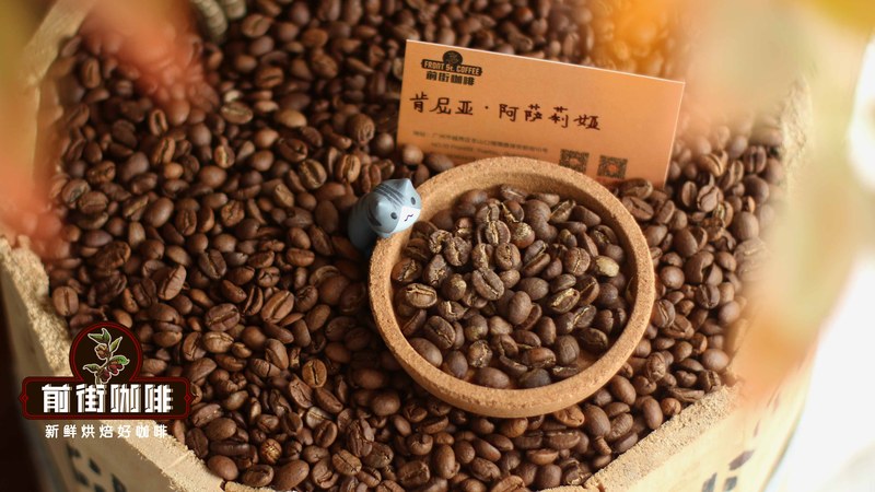 Bialetti Moka Pot Bean Selection Guide | Choosing Coffee Beans by Roast Level and Brewing Recommendations