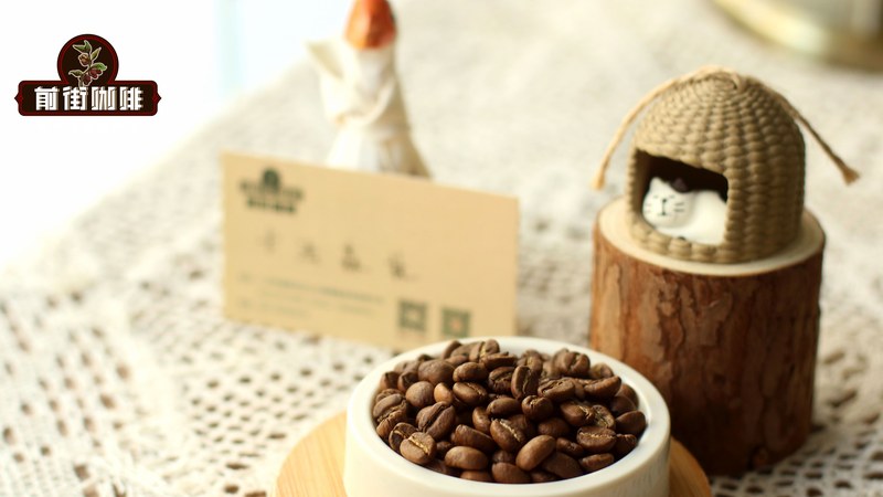 A Complete Guide to Selecting and Brewing Dark Roast Coffee Beans | Flavor Analysis and Practical Tips