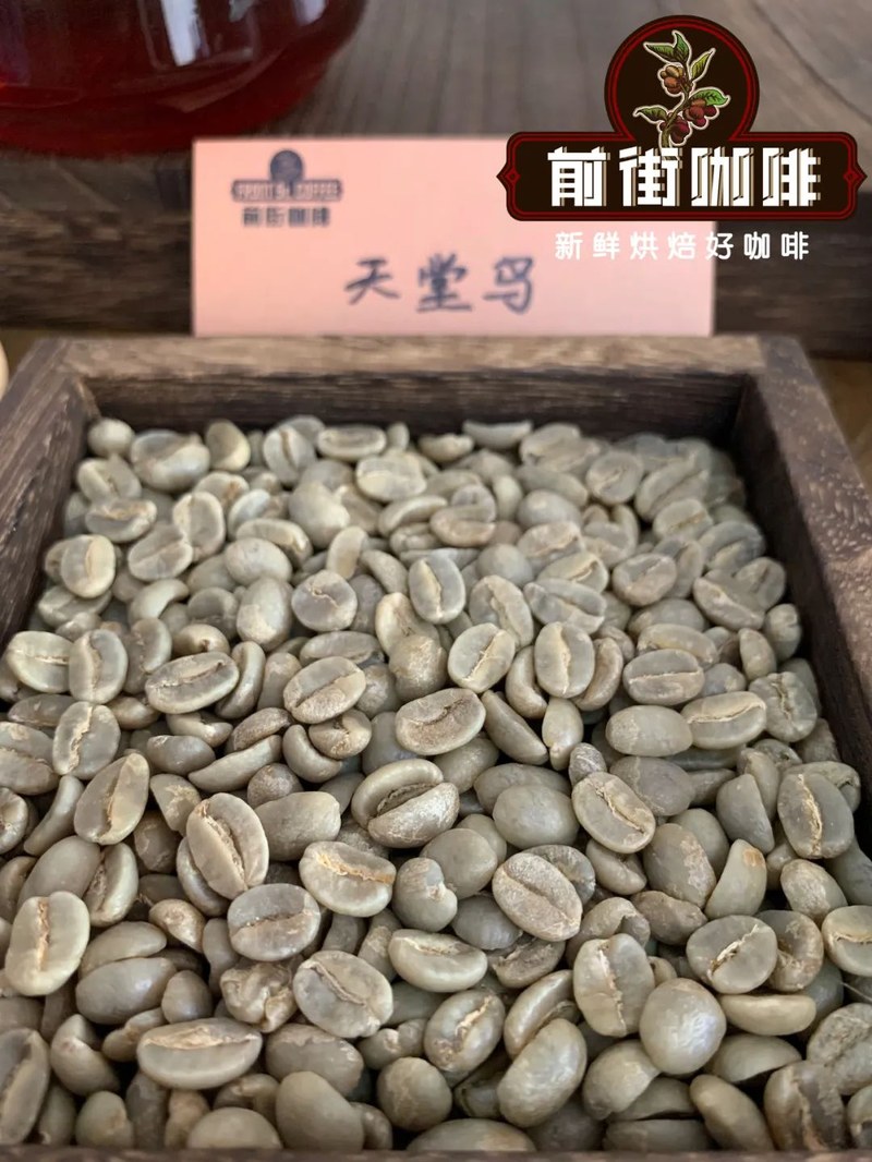 How to choose Yirgacheffe coffee beans? Select based on roast level to suit pour over and milk coffee flavors