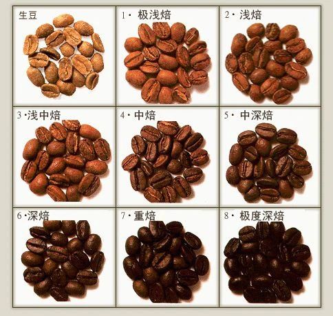 Automatic Coffee Machine Bean Selection Guide: Roast Level, Flavor, and Adjustment Tips