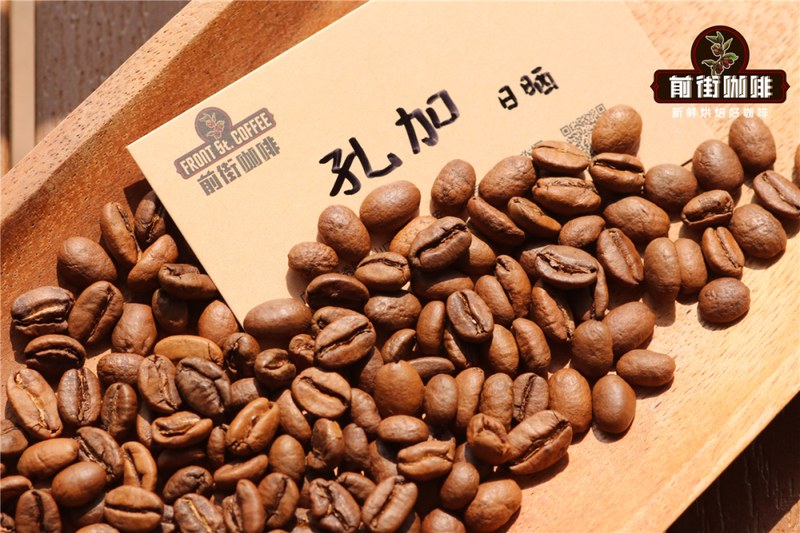 How to Choose Commercial Coffee Beans? A Guide to Extraction and Flavor Pairing from Light to Dark Roast