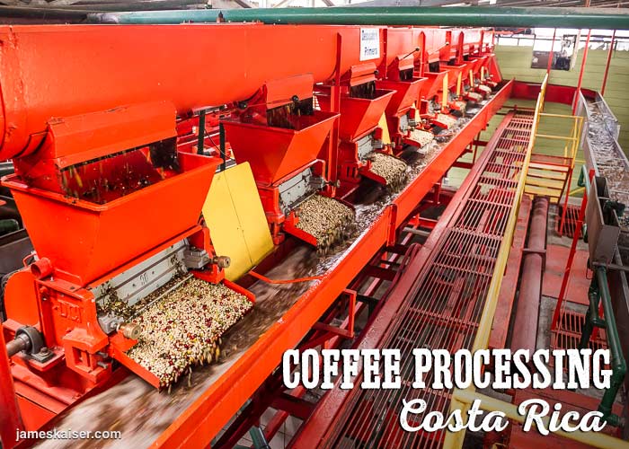 How to choose the right coffee beans for a moka pot? A complete guide to roast levels and flavor profiles