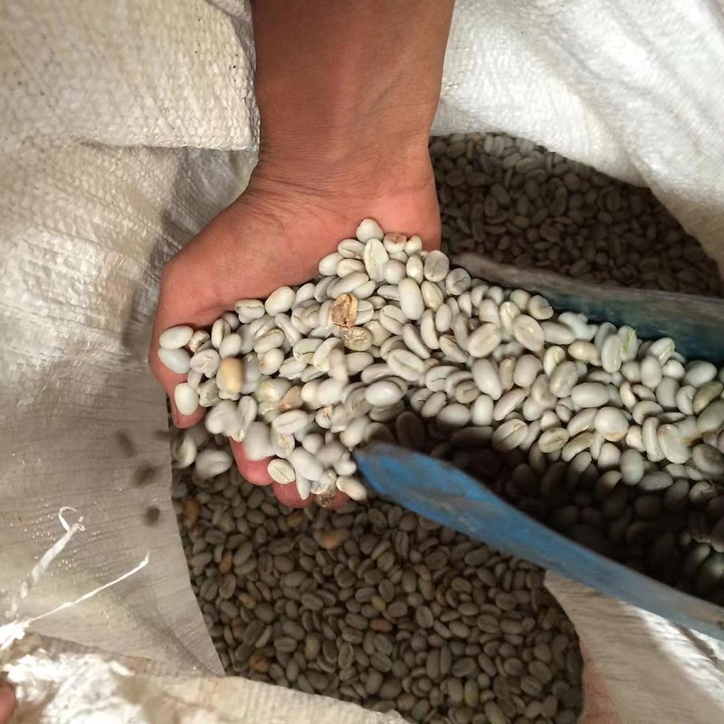 How to choose beans for cold brew? Flavor differences between light, medium, and dark roasts and brewing suggestions