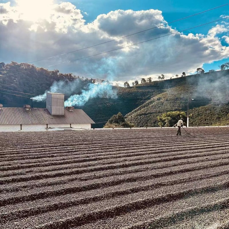 How to Choose Moka Pot Coffee Beans? A Complete Guide to Opening Time and Peak Flavor Period