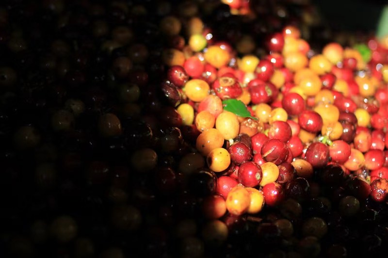 How to Choose Black Coffee Beans for Pour Over Americano? Mastering the Flavor Rhythm from Roasting to Opening