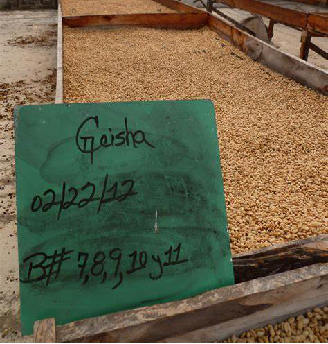 How to brew dark roast coffee beans? The golden timing and techniques from roasting to extraction