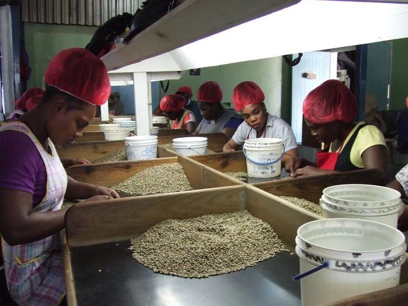 How to enjoy tropical fruit-flavored coffee beans? The best timing to savor their flavors after opening and storage tips